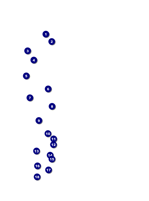 Lions Club International Water Color Flyer Front Field Markers